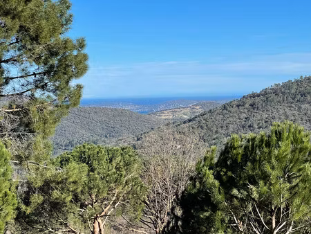 terrain à vendre à la garde-freinet (83680) - var