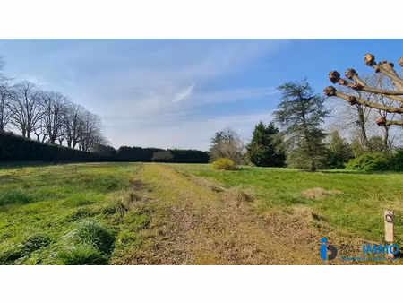 vente terrain 1200 m² à mazamet (81200)  68 000 €