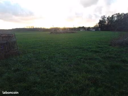 terrain constructible