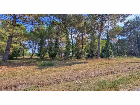 vente terrain 1055 m² à vensac (33590)  76 000 €