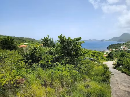 vente terrain 1013 m² à terre de bas (97136)  160 000 €