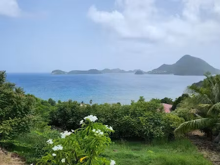 vente terrain 1986 m² à terre de bas (97136)  321 000 €