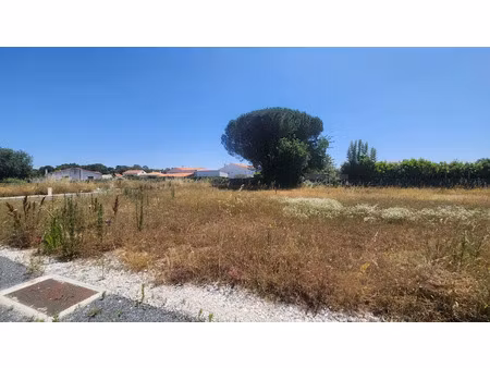 vente terrain 351 m² à vaux-sur-mer (17640)  145 000 €