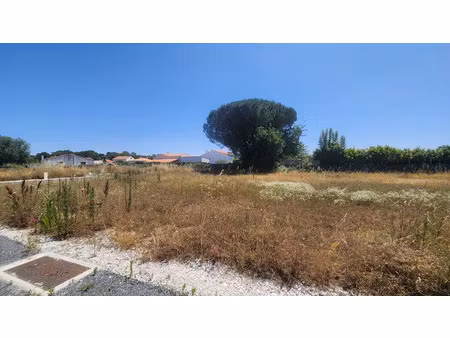 vente terrain à vaux-sur-mer (17640)  145 000 €
