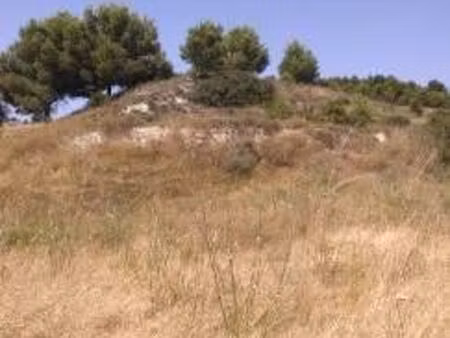terrain avec ombre vue étang de vendres