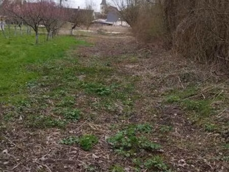 terrain à vendre pour jardinage