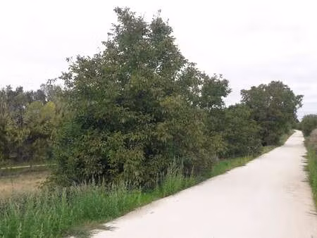 vente terrain à vern-sur-seiche (35770) : à vendre / vern-sur-seiche