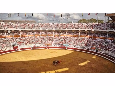 vente commerce 166 m² dax (40100)