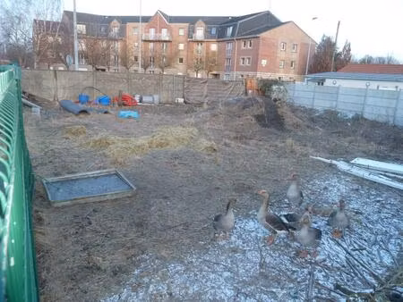 vente terrain 384 m² neuville-saint-rémy (59554)