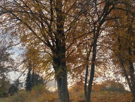 terrain à vendre à herent € 260.000 (kmoo4) - splendid | zimmo