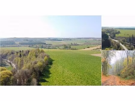 terrain à vendre à naleumont 11 assenois (vay64969)