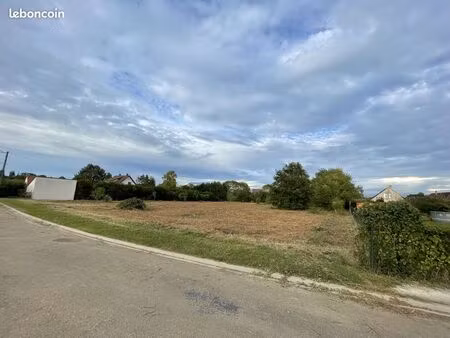 terrain constructible