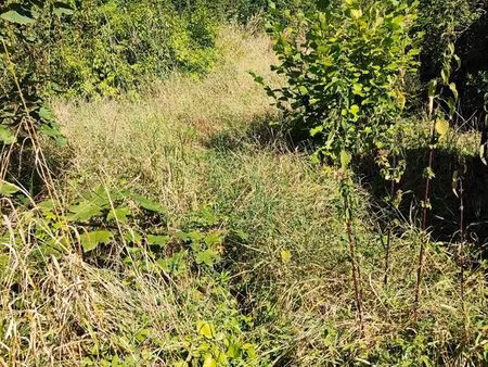 a vendre terrain constructible a epiais rhus 95