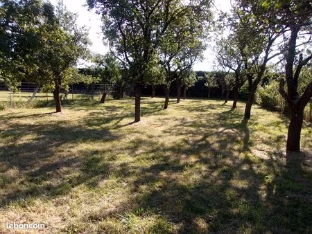 terrain constructible