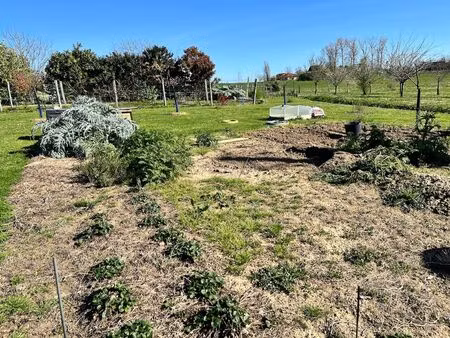 terrain de 2109 m2 entièrement arboré de fruitiers (une trentaine + vigne)