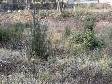 terrain a construire