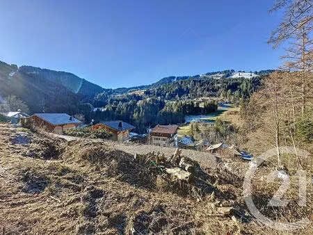 achat : terrain (74110)