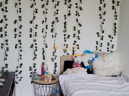 investissement locataire en place