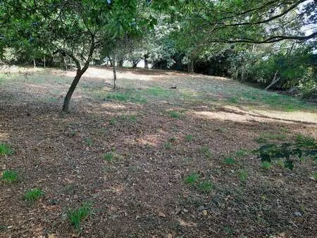 vente terrain à taupont (56800) : à vendre / 1888m² taupont