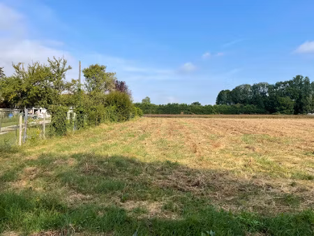 villemereuil - terrain 1800m2