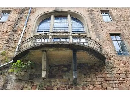 vente maison 30 pièces 1163 m² ham-sous-varsberg (57880)