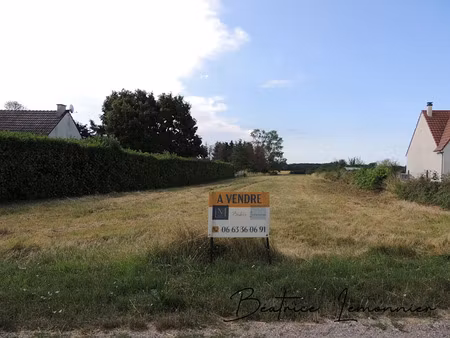 vente terrain 3460 m² à vrigny (45300)  37 000 €