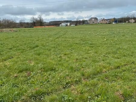 terrain viabilisé constructible