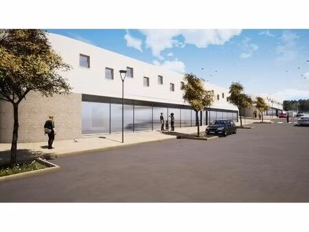 vente commerce 259 m² grabels (34790)
