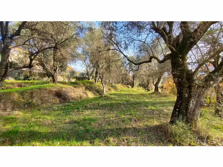 vente terrain 2800 m² à contes (06390)  290 000 €