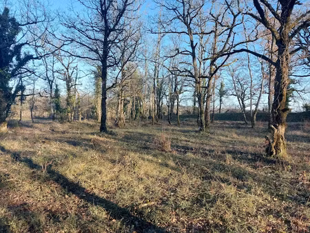 vente terrain 2381 m² à le vigan (46300)  30 953 €