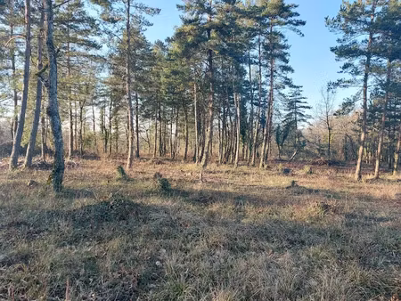 vente terrain 2398 m² à le vigan (46300)  31 174 €