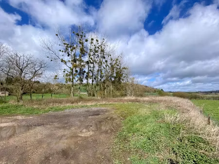 vente terrain à batir 1600 m² à jevoncourt (54740)  55 000 €