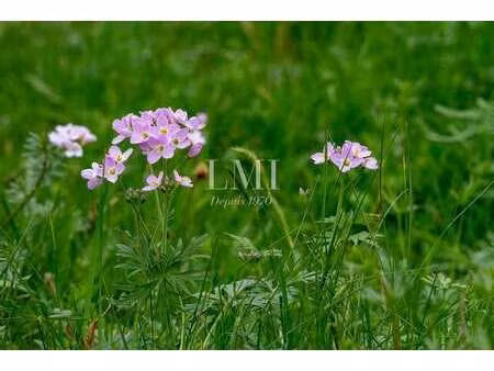 vente terrain à plouay (56240) : à vendre / 515m² plouay