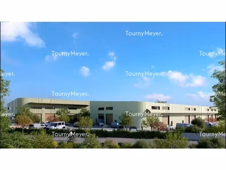 locaux d'activites a vendre