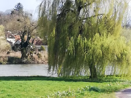 maison bord de saone