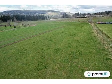 vente terrain 8830 m² araules (43200)