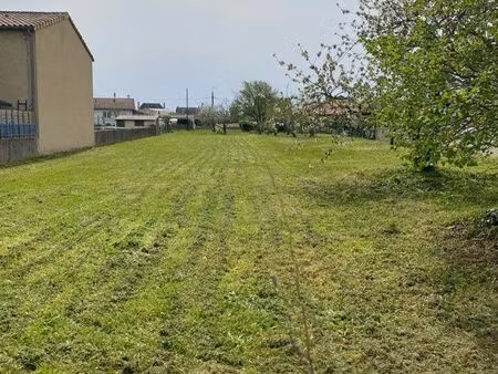 terrain constructible