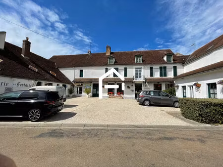 vente commerce 460 m² deux rivières (89460)