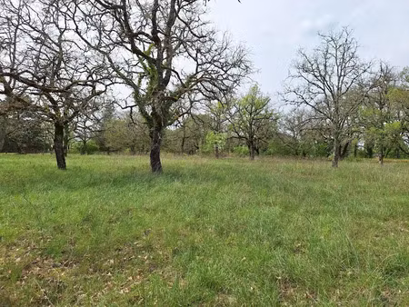 vente terrain 3680 m² à cahors (46000)  70 000 €