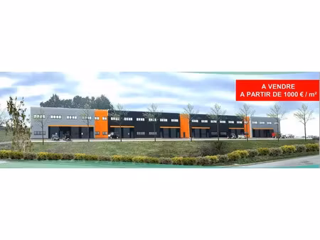 local d'activite neuf a vendre