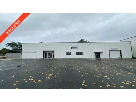 local d'activite a louer