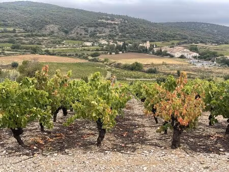 terrain constructible