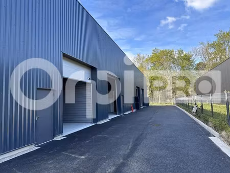 local d'activite a louer