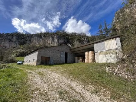 vente commerce 1 pièce 372 m² saint-sulpice (46160)