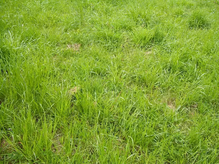 terrain la bruffiere