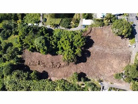 terrain 5000 m² sainte rose