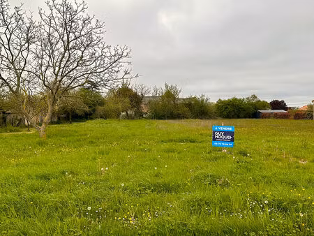 terrain savigny sous faye 1755 m2