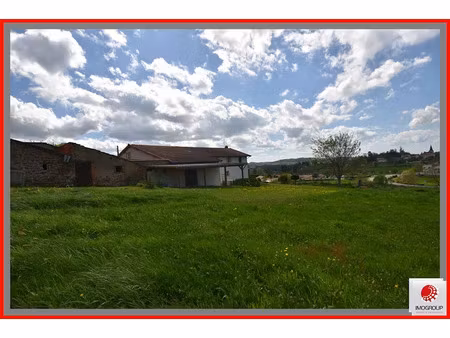 vente ferme 7 pièces 210 m² à saint-martin-d'estréaux (42620)  256 800 €