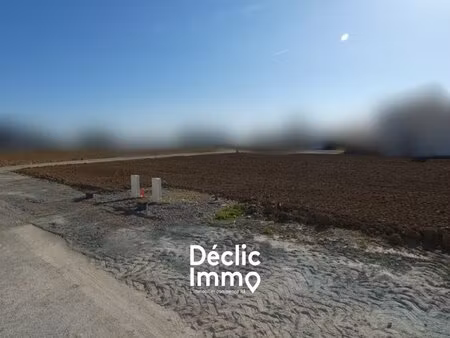 terrain constructible