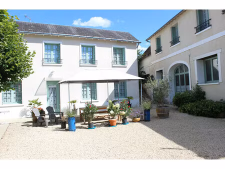 commerce à vendre à la roche-posay (86270) - vienne